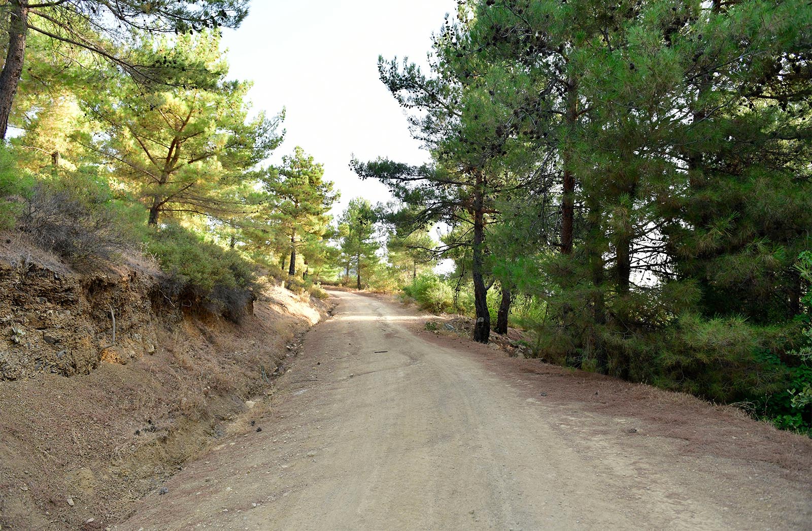 Yeşilyurt Yürüyüş Rotaları